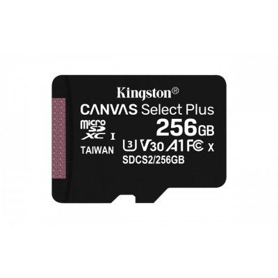 SD 256GB Micro SDXC 100R A1 C10 Card C/Adaptador
